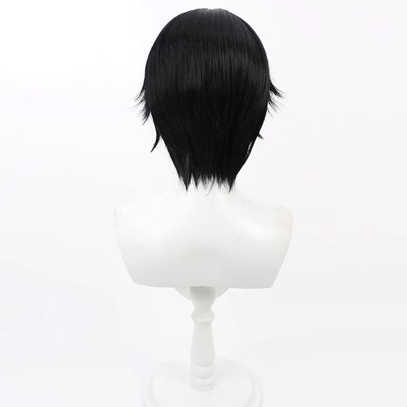 Anime Lelouch Lamperouge Cospl - Wig Fiber Net recensie en prijs